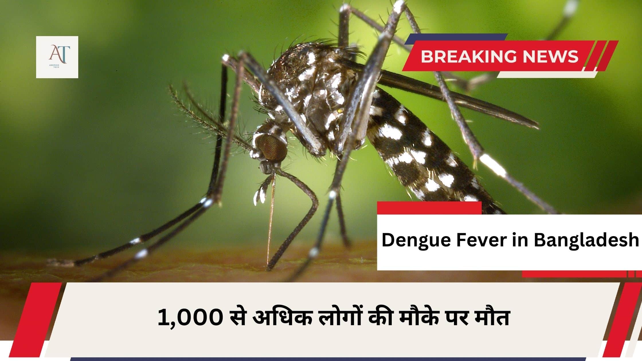 Dengue Fever in Bangladesh