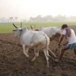 Top 20 Agriculture Loans in India